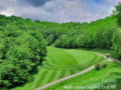 Fall in love with this beautifully updated mountain chalet on Wolf Laurel Country Club in North Carolina - for sale on GolfHomes.com, golf home, golf lot