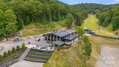 Fall in love with this beautifully updated mountain chalet on Wolf Laurel Country Club in North Carolina - for sale on GolfHomes.com, golf home, golf lot