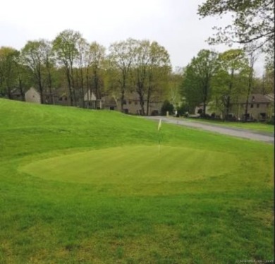 Your chance to create the ultimate retreat at Twin Lakes Golf on Twin Lakes Golf Course in Connecticut - for sale on GolfHomes.com, golf home, golf lot