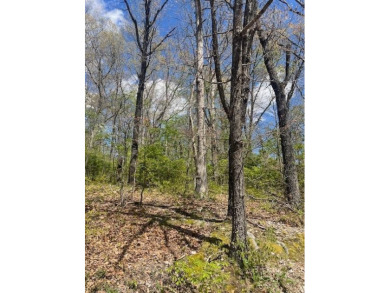 Wooded lot with slope up and flattens out on the top for great on Bella Vista Country Club and Golf Course in Arkansas - for sale on GolfHomes.com, golf home, golf lot