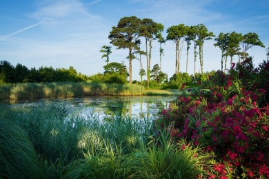 Ready to own your slice of paradise? Lot 58 in The Colony on Bay Creek Golf Club in Virginia - for sale on GolfHomes.com, golf home, golf lot