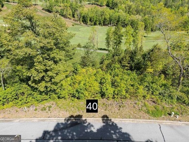 Waterfall Country Club-Golf Course frontage. 2 lots being sold on Waterfall Country Club in Georgia - for sale on GolfHomes.com, golf home, golf lot