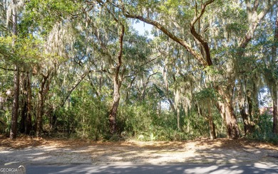 Build your dream home in the prestigious Hampton Plantation, an on The King and Prince Golf Course, Home of the Hampton Club in Georgia - for sale on GolfHomes.com, golf home, golf lot