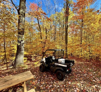 Private northern MI retreat! Renovated 1,428 sq ft chalet on 2 on The Loon Golf Resort in Michigan - for sale on GolfHomes.com, golf home, golf lot