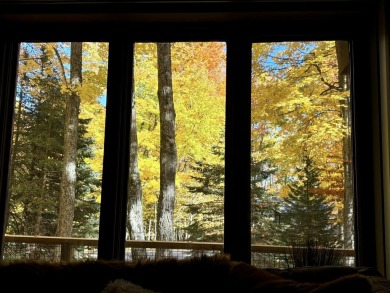 Private northern MI retreat! Renovated 1,428 sq ft chalet on 2 on The Loon Golf Resort in Michigan - for sale on GolfHomes.com, golf home, golf lot