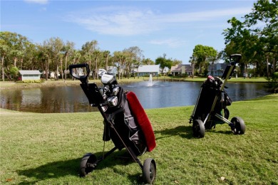 DISCOVER PELICAN POINTE: Your riverside paradise awaits! Enjoy on Pelican Pointe 9 Hole Course in Florida - for sale on GolfHomes.com, golf home, golf lot