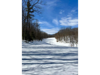 Private northern MI retreat! Renovated 1,428 sq ft chalet on 2 on The Loon Golf Resort in Michigan - for sale on GolfHomes.com, golf home, golf lot