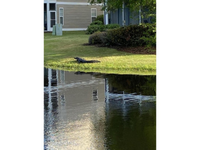 Charming Fixer-Upper with Scenic Golf Views in Sunset Beach!

 on Sandpiper Bay Golf and Country Club in North Carolina - for sale on GolfHomes.com, golf home, golf lot