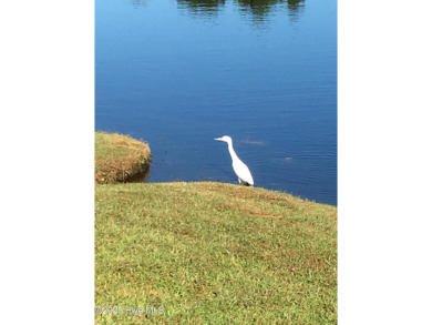 Charming Fixer-Upper with Scenic Golf Views in Sunset Beach!

 on Sandpiper Bay Golf and Country Club in North Carolina - for sale on GolfHomes.com, golf home, golf lot