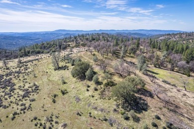 Welcome to Murphys Meadows. This rare 256-acre property on Forest Meadows Golf Course in California - for sale on GolfHomes.com, golf home, golf lot