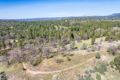 Welcome to Murphys Meadows. This rare 256-acre property on Forest Meadows Golf Course in California - for sale on GolfHomes.com, golf home, golf lot