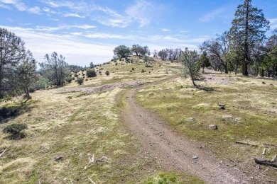 Welcome to Murphys Meadows. This rare 256-acre property on Forest Meadows Golf Course in California - for sale on GolfHomes.com, golf home, golf lot