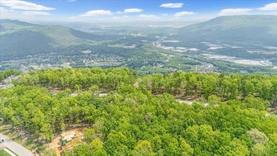 Build Your Dream Home in Black Creek Discover the perfect on Black Creek Club in Tennessee - for sale on GolfHomes.com, golf home, golf lot