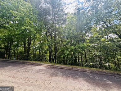 Come see this wonderfully priced lot in the heart of Helen! on Innsbruck Resort and Golf Club in Georgia - for sale on GolfHomes.com, golf home, golf lot