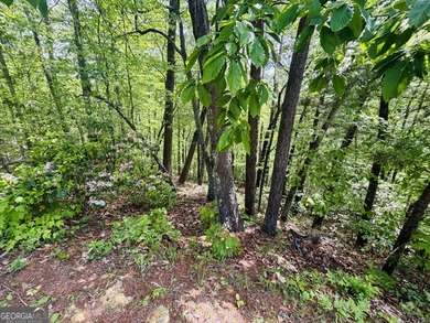 Come see this wonderfully priced lot in the heart of Helen! on Innsbruck Resort and Golf Club in Georgia - for sale on GolfHomes.com, golf home, golf lot