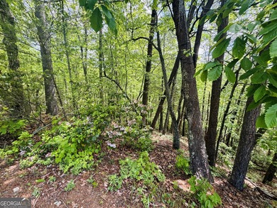 Come see this wonderfully priced lot in the heart of Helen! on Innsbruck Resort and Golf Club in Georgia - for sale on GolfHomes.com, golf home, golf lot