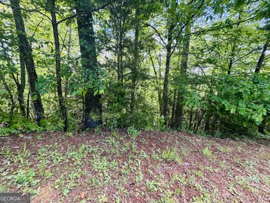 Come see this wonderfully priced lot in the heart of Helen! on Innsbruck Resort and Golf Club in Georgia - for sale on GolfHomes.com, golf home, golf lot