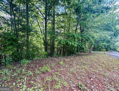 Come see this wonderfully priced lot in the heart of Helen! on Innsbruck Resort and Golf Club in Georgia - for sale on GolfHomes.com, golf home, golf lot