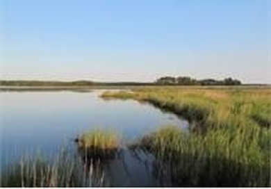 Enjoy peaceful coastal living in the Hollies neighborhood of Bay on Bay Creek Golf Club in Virginia - for sale on GolfHomes.com, golf home, golf lot