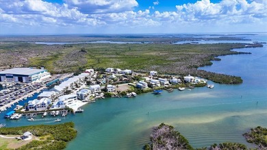 Under contract-accepting backup offers. Waterfront lot in the on Coral Creek Club in Florida - for sale on GolfHomes.com, golf home, golf lot