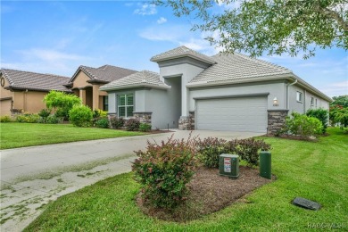 Why wait to build when this home offers so many upgrades and a on Skyview At Terra Vista Golf and Country Club in Florida - for sale on GolfHomes.com, golf home, golf lot