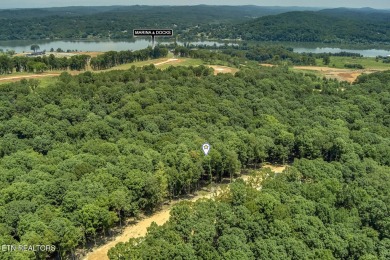 This spectacular 0.62-acre lot, ideal for a walk-out basement on Tennessee National Golf Club in Tennessee - for sale on GolfHomes.com, golf home, golf lot