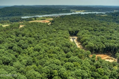 This spectacular 0.62-acre lot, ideal for a walk-out basement on Tennessee National Golf Club in Tennessee - for sale on GolfHomes.com, golf home, golf lot