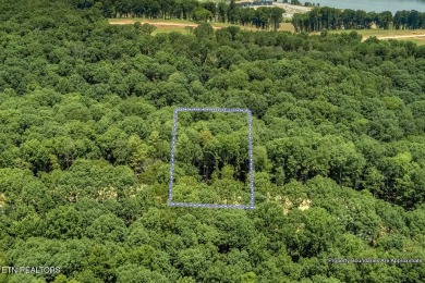 This spectacular 0.62-acre lot, ideal for a walk-out basement on Tennessee National Golf Club in Tennessee - for sale on GolfHomes.com, golf home, golf lot