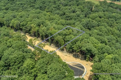 This spectacular 0.62-acre lot, ideal for a walk-out basement on Tennessee National Golf Club in Tennessee - for sale on GolfHomes.com, golf home, golf lot