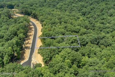 This spectacular 0.62-acre lot, ideal for a walk-out basement on Tennessee National Golf Club in Tennessee - for sale on GolfHomes.com, golf home, golf lot