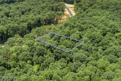 This spectacular 0.62-acre lot, ideal for a walk-out basement on Tennessee National Golf Club in Tennessee - for sale on GolfHomes.com, golf home, golf lot