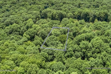 This spectacular 0.62-acre lot, ideal for a walk-out basement on Tennessee National Golf Club in Tennessee - for sale on GolfHomes.com, golf home, golf lot