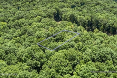 This spectacular 0.62-acre lot, ideal for a walk-out basement on Tennessee National Golf Club in Tennessee - for sale on GolfHomes.com, golf home, golf lot