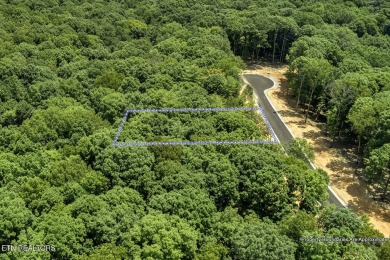 This spectacular 0.62-acre lot, ideal for a walk-out basement on Tennessee National Golf Club in Tennessee - for sale on GolfHomes.com, golf home, golf lot