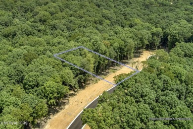 This spectacular 0.62-acre lot, ideal for a walk-out basement on Tennessee National Golf Club in Tennessee - for sale on GolfHomes.com, golf home, golf lot