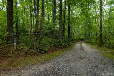 Nestled in the desirable Nature's Walk section of Chinquapin on Natures Walk At Chinquapin in North Carolina - for sale on GolfHomes.com, golf home, golf lot