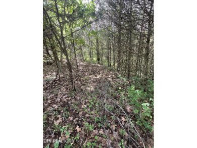 ant a nice building lot that backs up to the golf course and on Woodlake Golf Club in Tennessee - for sale on GolfHomes.com, golf home, golf lot