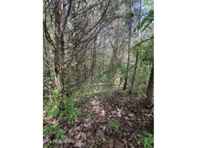 ant a nice building lot that backs up to the golf course and on Woodlake Golf Club in Tennessee - for sale on GolfHomes.com, golf home, golf lot