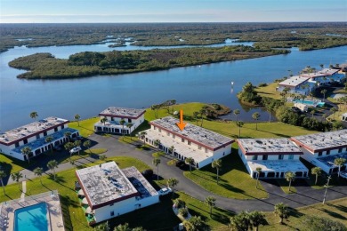 Daydreams and Tranquility Seems to Flow a Little Better at This on Ocean Palm Golf Course in Florida - for sale on GolfHomes.com, golf home, golf lot
