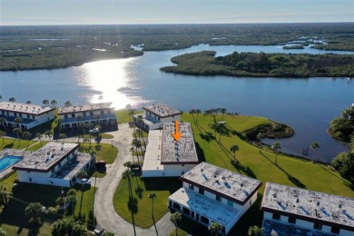 Daydreams and Tranquility Seems to Flow a Little Better at This on Ocean Palm Golf Course in Florida - for sale on GolfHomes.com, golf home, golf lot