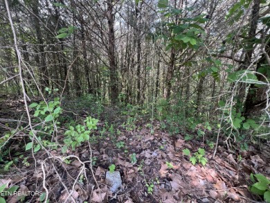 ant a nice building lot that backs up to the golf course and on Woodlake Golf Club in Tennessee - for sale on GolfHomes.com, golf home, golf lot