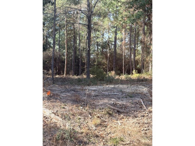 Situated beneath a canopy of mature shade trees, this beautiful on Rayburn Country Club in Texas - for sale on GolfHomes.com, golf home, golf lot