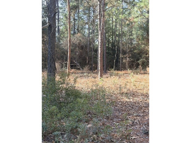 Situated beneath a canopy of mature shade trees, this beautiful on Rayburn Country Club in Texas - for sale on GolfHomes.com, golf home, golf lot
