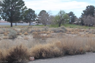 MULTI-FAMILY LOT AT 2820 SPY GLASS-- .46 acre -- Centrally on Lakeview Executive Golf Course in Nevada - for sale on GolfHomes.com, golf home, golf lot