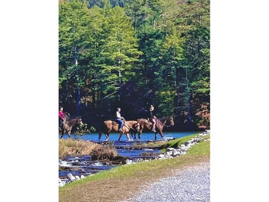 This 1.47 acre lot is located near the back gate of Bent Tree, a on Bent Tree Golf Course in Georgia - for sale on GolfHomes.com, golf home, golf lot