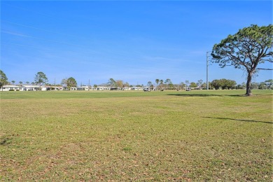 NEWS FLASH! AT ASKING PRICE, SELLER IS OFFERING $3000 TOWARDS on Mainlands Golf Club in Florida - for sale on GolfHomes.com, golf home, golf lot