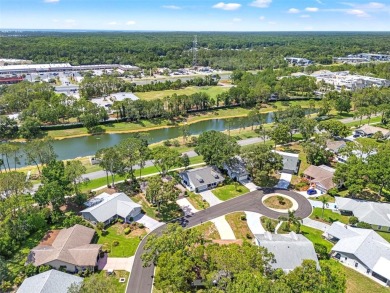Beautifully Updated Home in Award-Winning Timber Pines! Welcome on Timber Pines Golf Course in Florida - for sale on GolfHomes.com, golf home, golf lot