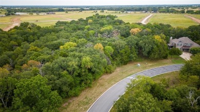 Nestled within the prestigious 1,300-acre Rock Creek Resort on on Rock Creek Golf Club in Texas - for sale on GolfHomes.com, golf home, golf lot