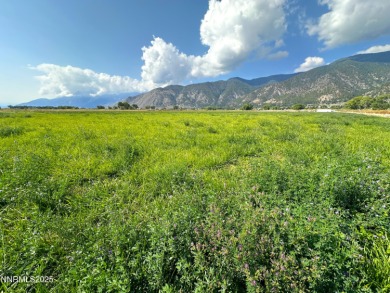 A rare opportunity to own 40 acres of fully water-righted ground on  in Nevada - for sale on GolfHomes.com, golf home, golf lot