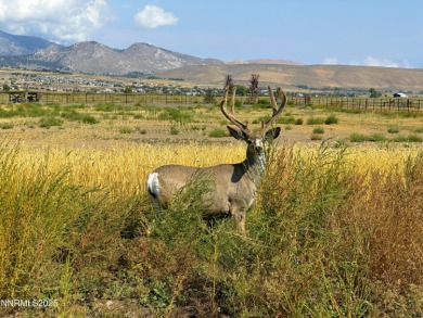 A rare opportunity to own 40 acres of fully water-righted ground on  in Nevada - for sale on GolfHomes.com, golf home, golf lot